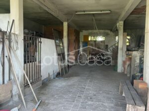 Fienile in vendita a Santa Bianca – Bondeno - foto 8