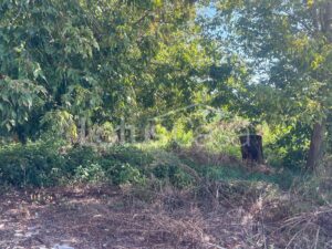 Fienile in vendita a Santa Bianca – Bondeno - foto 10