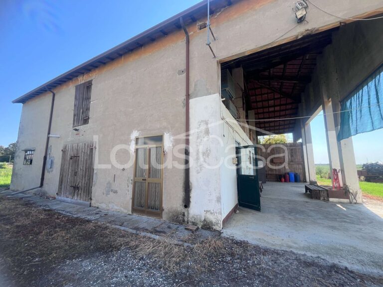 Fienile in vendita a Santa Bianca – Bondeno - foto 12