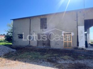 Fienile in vendita a Santa Bianca – Bondeno - foto 13