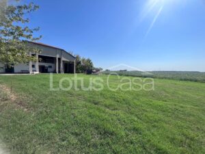 Fienile in vendita a Santa Bianca – Bondeno - foto 14