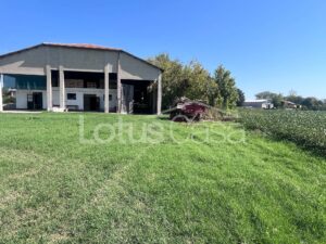 Fienile in vendita a Santa Bianca – Bondeno - foto 15