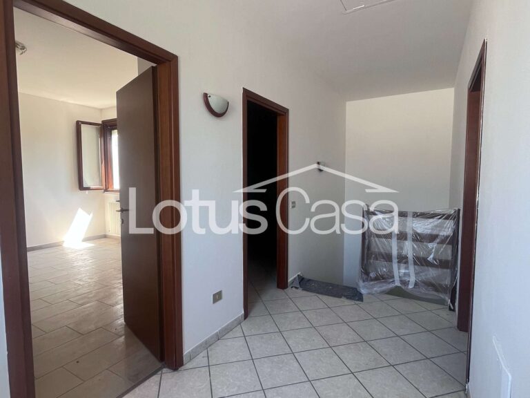 Soluzione Unica e Indipendente: Casa Indipendente con Imponente Capannone Artigianale a San Biagio - foto 10