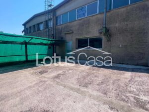 Soluzione Unica e Indipendente: Casa Indipendente con Imponente Capannone Artigianale a San Biagio - foto 16