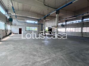 Soluzione Unica e Indipendente: Casa Indipendente con Imponente Capannone Artigianale a San Biagio - foto 19