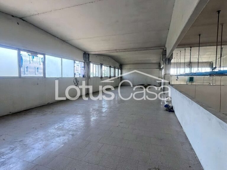 Soluzione Unica e Indipendente: Casa Indipendente con Imponente Capannone Artigianale a San Biagio - foto 23