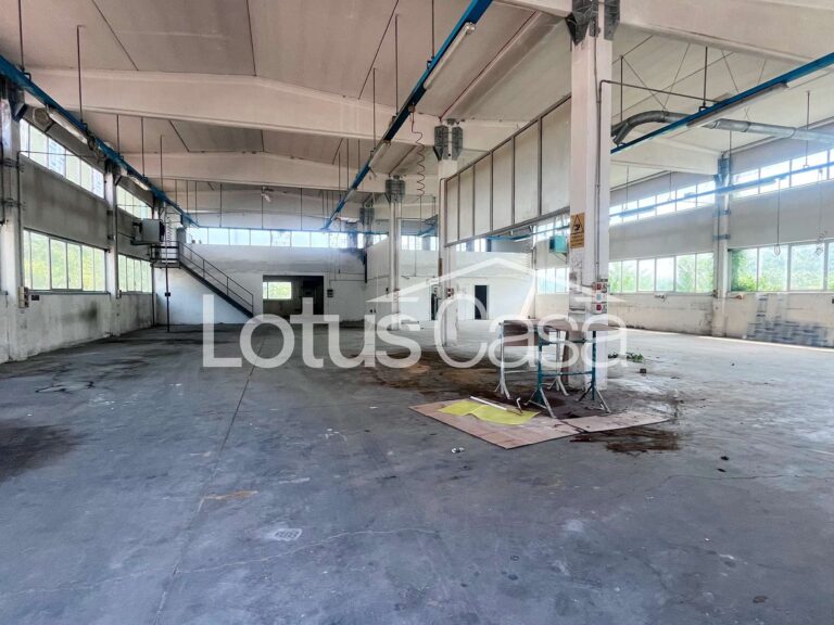 Soluzione Unica e Indipendente: Casa Indipendente con Imponente Capannone Artigianale a San Biagio - foto 25