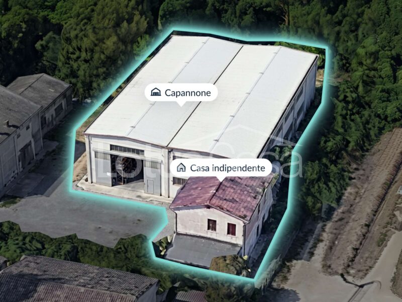 Soluzione Unica e Indipendente: Casa Indipendente con Imponente Capannone Artigianale a San Biagio
