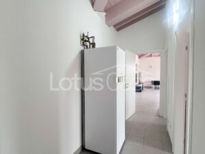 Elegante e Moderno Trilocale “Green” con Terrazzo e Garage a San Felice s/Panaro - foto 3